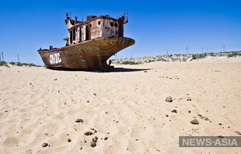 Фото: