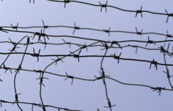  ����-��������� ����������� ��������� ������ �������� �������� ���� 