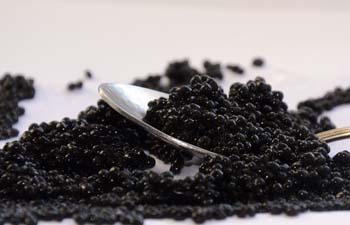 Фото: news-asia.ru