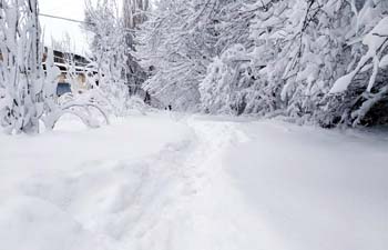 ����: news-asia.ru