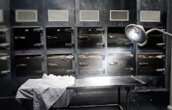 ����: news-asia.ru