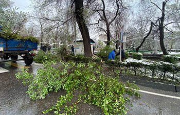 ����: news-asia.ru