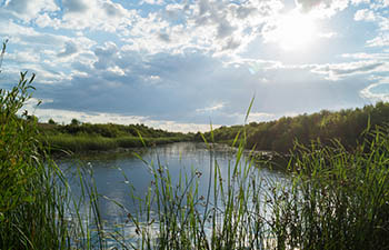 В Екатеринбурге создали экономичную и безопасную технологию очистки вод