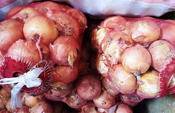 Фото: news-asia.ru