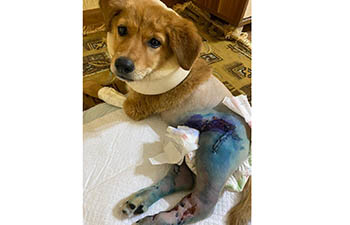 Фото: news-asia.ru