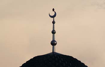 ����: news-asia.ru