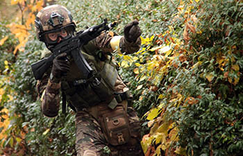  ����������� ������ ���������� �������������� ������ ������� ���� 