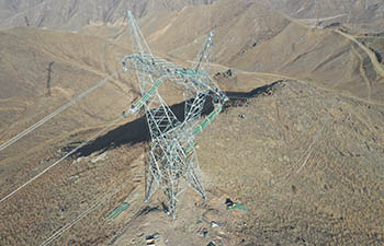 ����: news-asia.ru