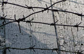Фото: news-asia.ru