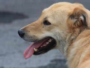 Фото: news-asia.ru