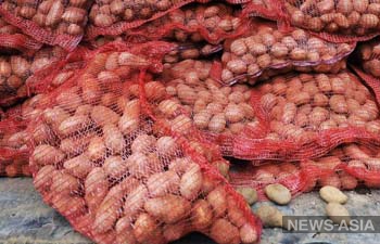 Таджикистан увеличивает площадь посевов картофеля и зерновых почти на 50%