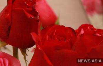 Казахстанец намерен добиться прощения жены букетом из миллиона алых роз за 3 миллиона долларов