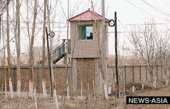 Сообщается, что сотни уйгуров содержатся в лагере в уезде Манас Синьцзяна