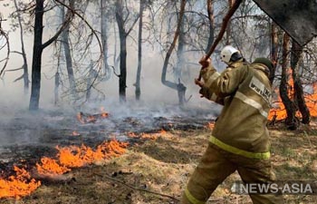 Лесные пожары в Казахстане: Горят уже две области республики