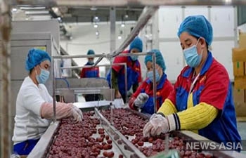 ЕС стремится запретить продукты, изготовленные с использованием принудительного труда