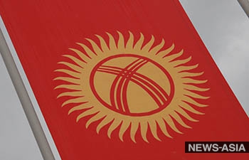 Бишкек разрабатывает законопроект по зеленым номерам