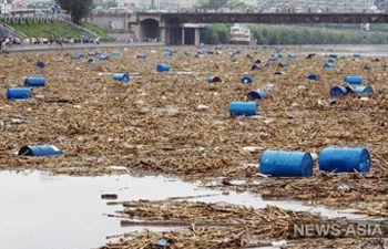 Cмытых в Сунгари химикатов в водах Амура не обнаружено