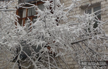 Столицу Киргизии завалило снегом